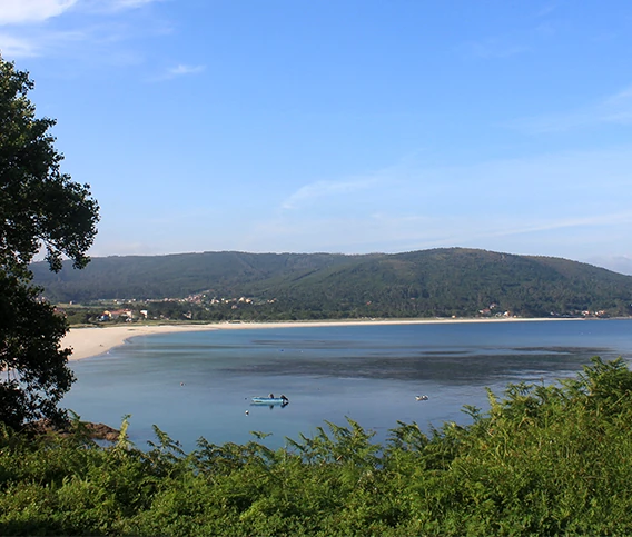 praia-de-langosteira